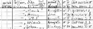 Wilson 1900 census